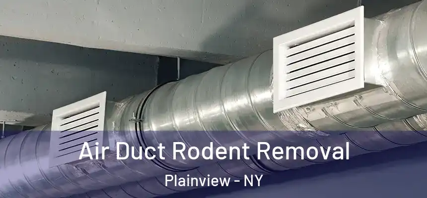  Air Duct Rodent Removal Plainview - NY