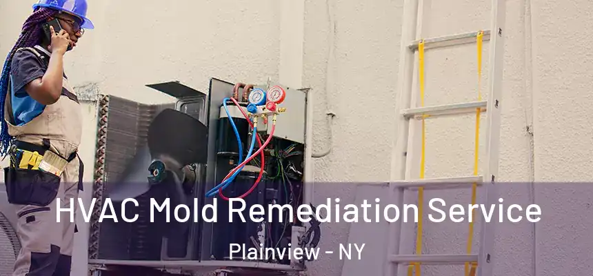  HVAC Mold Remediation Service Plainview - NY