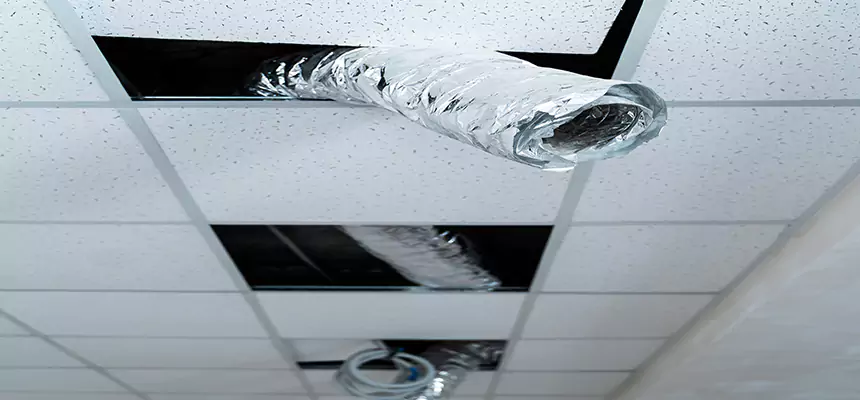 Our Air Duct Pet Hair Removal Services in Plainview, NY