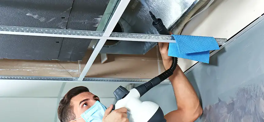 Our Air Duct Rodent Removal Services in Plainview, NY