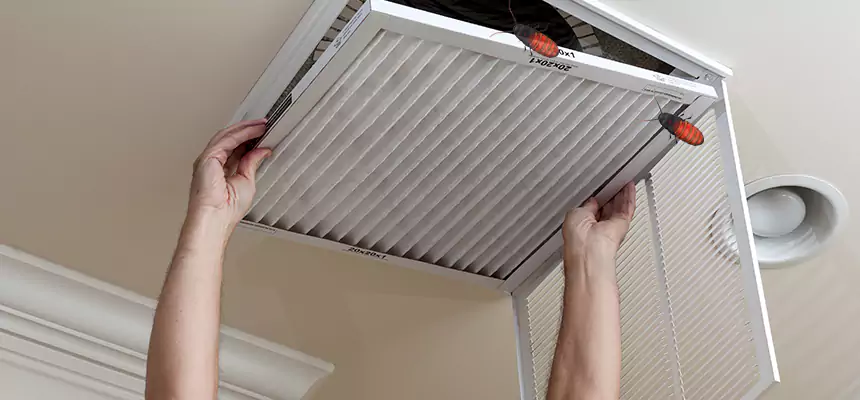 Our Insect Removal from Air Ducts Services in Plainview, NY