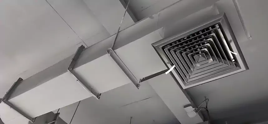 Our Pest Removal From Ducts Services in Plainview, NY