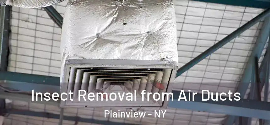  Insect Removal from Air Ducts Plainview - NY