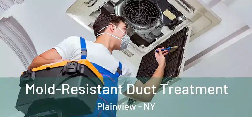  Mold-Resistant Duct Treatment Plainview - NY