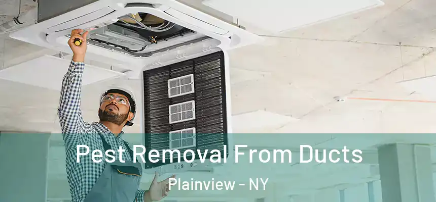  Pest Removal From Ducts Plainview - NY