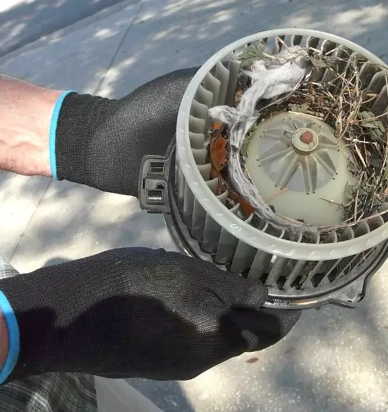 About Air Duct Rat Removal in Plainview, NY