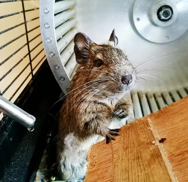 Why Homeowners & Businesses Trust Us Plainview, NY